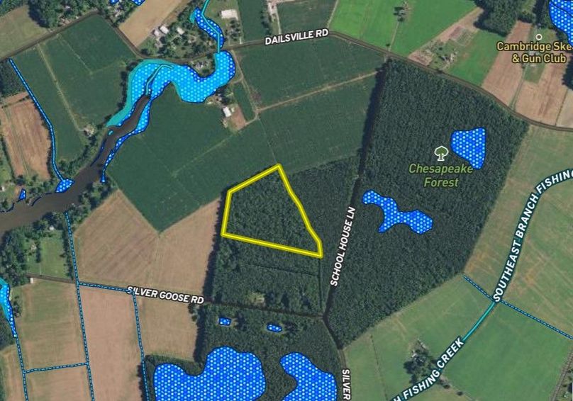 16.38ac_SilverGooseRd_DORCH_Water Features