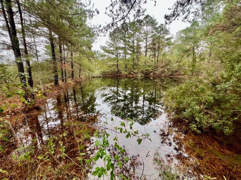 4A82C38F-E99B-44D2-80D0-4FE429767E11_1_201_a