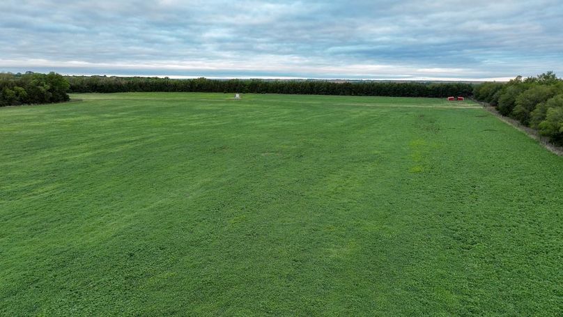 DJI_0559