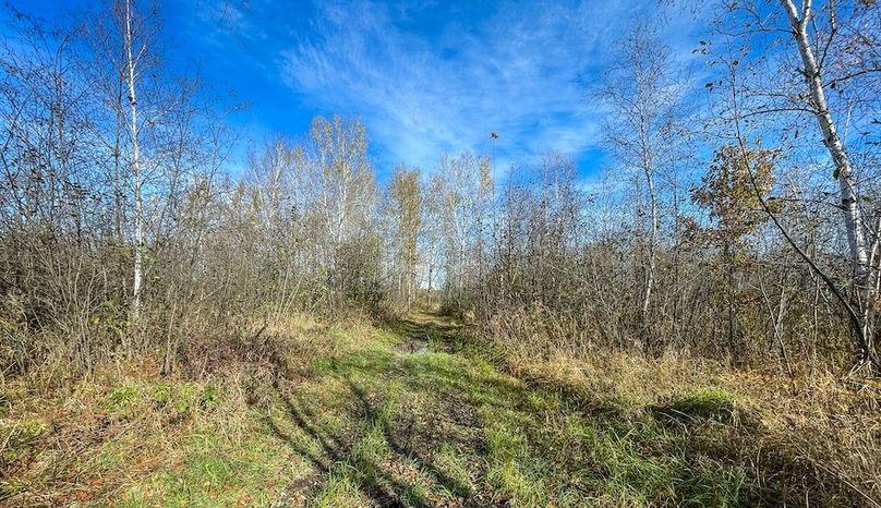 Clark 24.75 Winkel -31