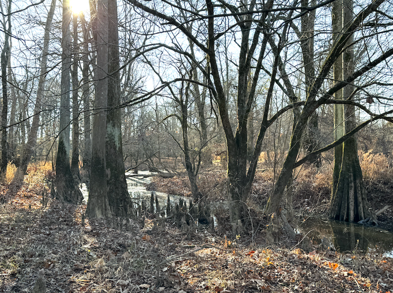 Screenshot 2025-10-03 at 11.16.46 AM