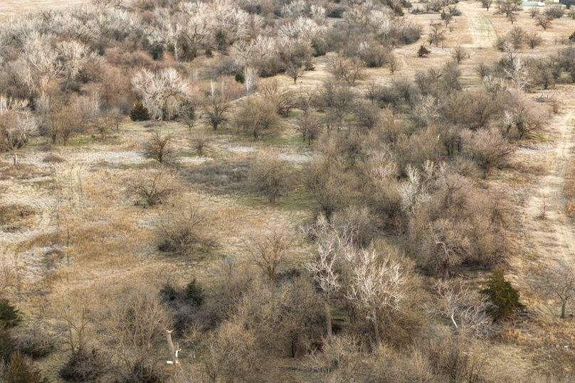 DJI_20260311081304_0511_D