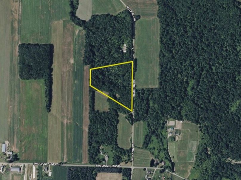 Screen Shot 2026-02-04 at 2.11.40 PM