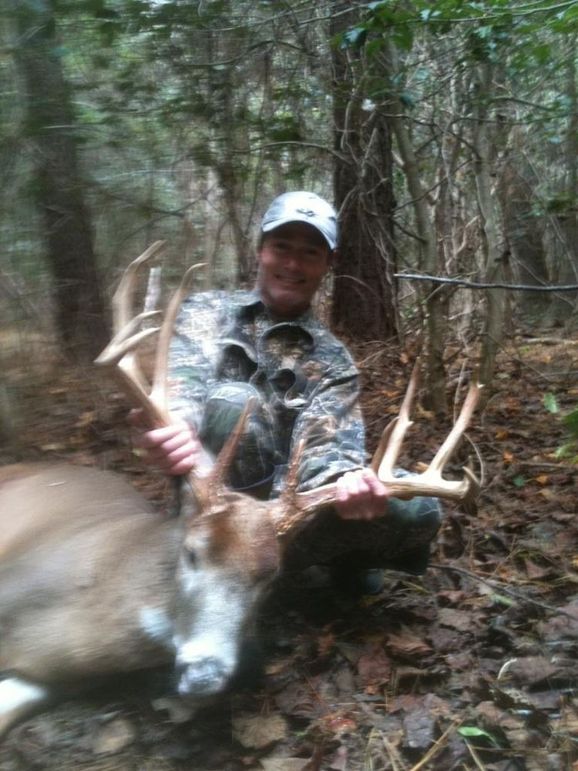 Harvest Blurry buck