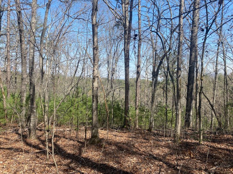 Cherokee 69.74 Stiles-18