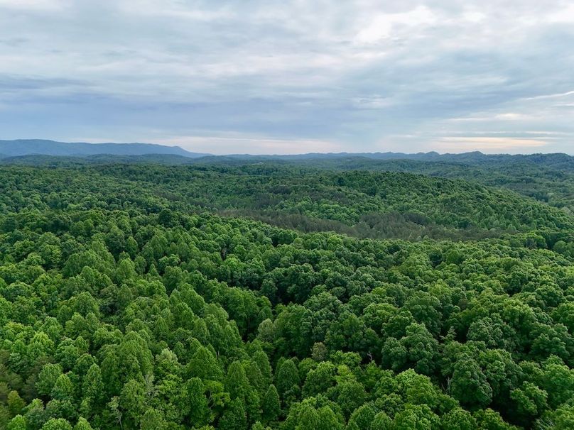 DJI_20260505185505_0016_D