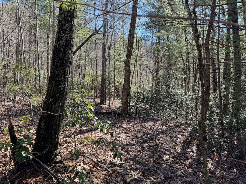 Cherokee 118.85 Harris Top-12