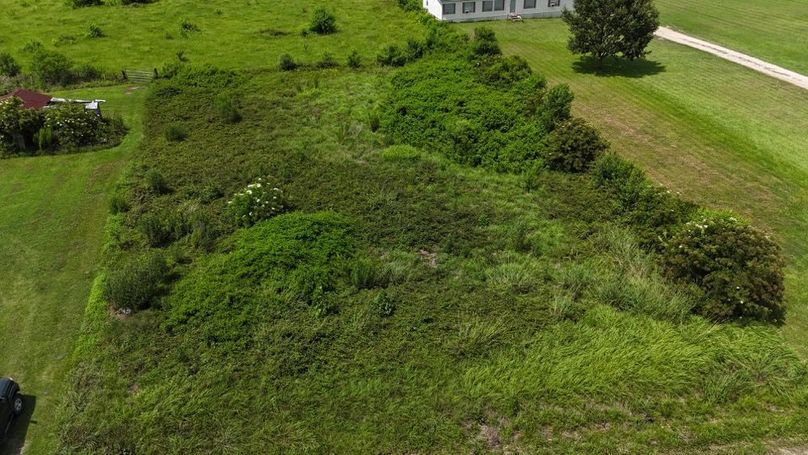 dji_fly_20250703_035126_0016_1752071311329_photo