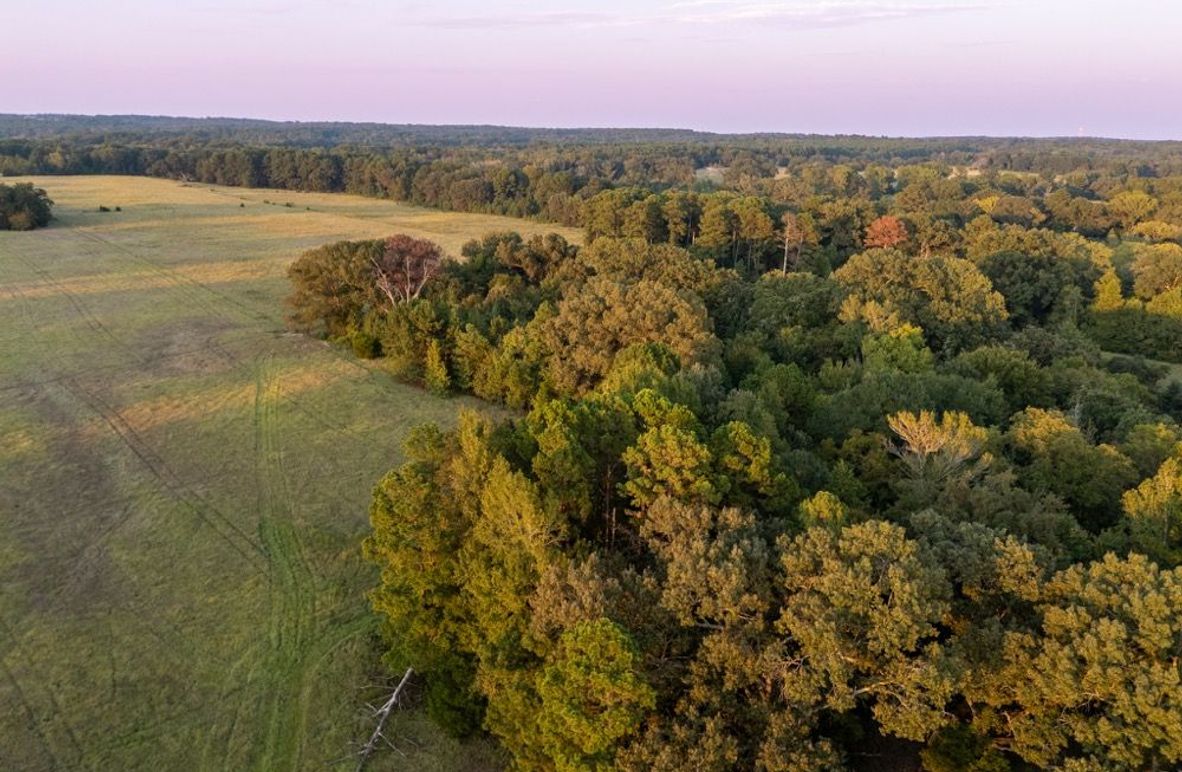 2.1  Wood co. 45ac - Penix edited-47