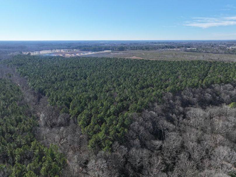 DJI_20260101141056_0294_D