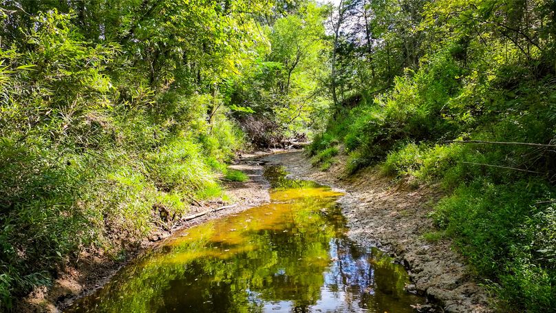 Lee County, MS 92+--10