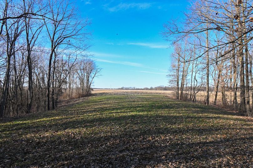 vandalia 450 (2)-2208