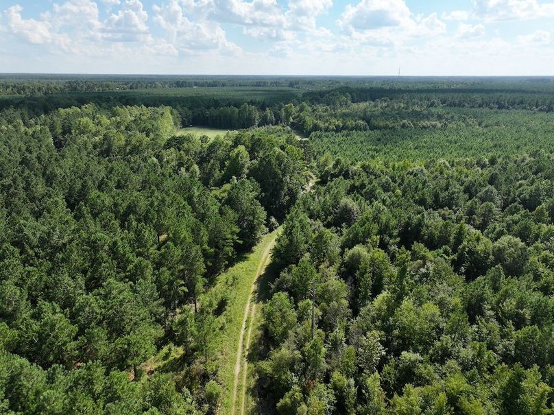 DJI_20240820163548_0009_D