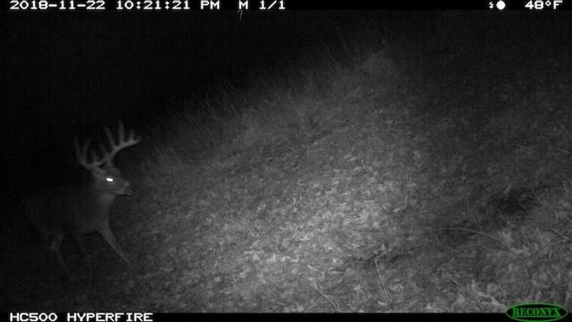 2018-11-22 22-21-21 M 1_1