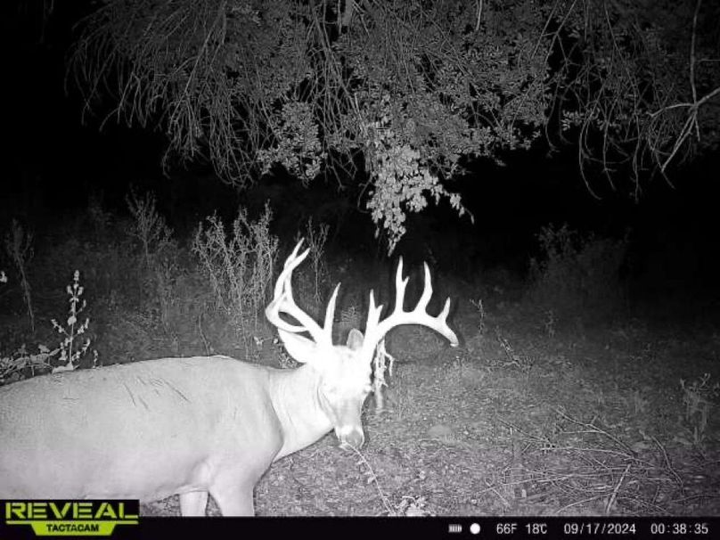 865814042047116-100-3-09172024003834-W1000085