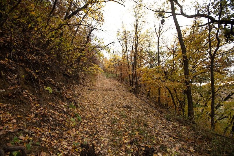 MONONA CO IA 14.95_4