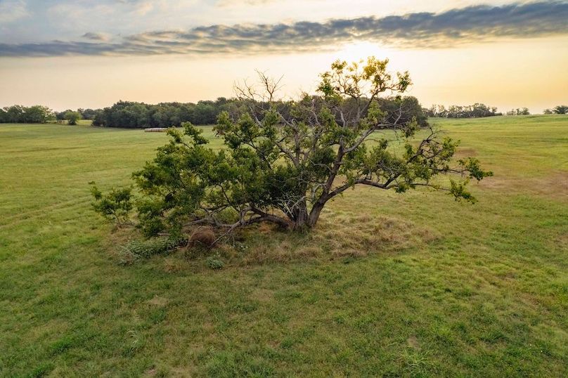 Lamar County TX 112-11