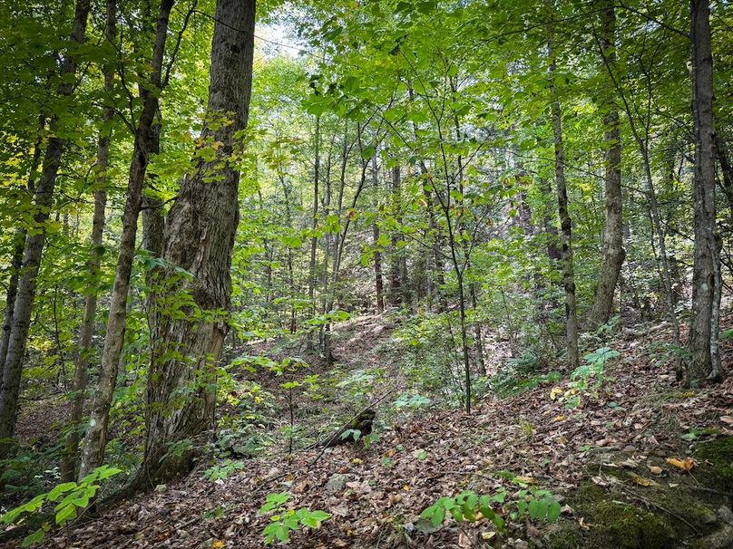 Tioga NY 86.705 Capwell Photos 15