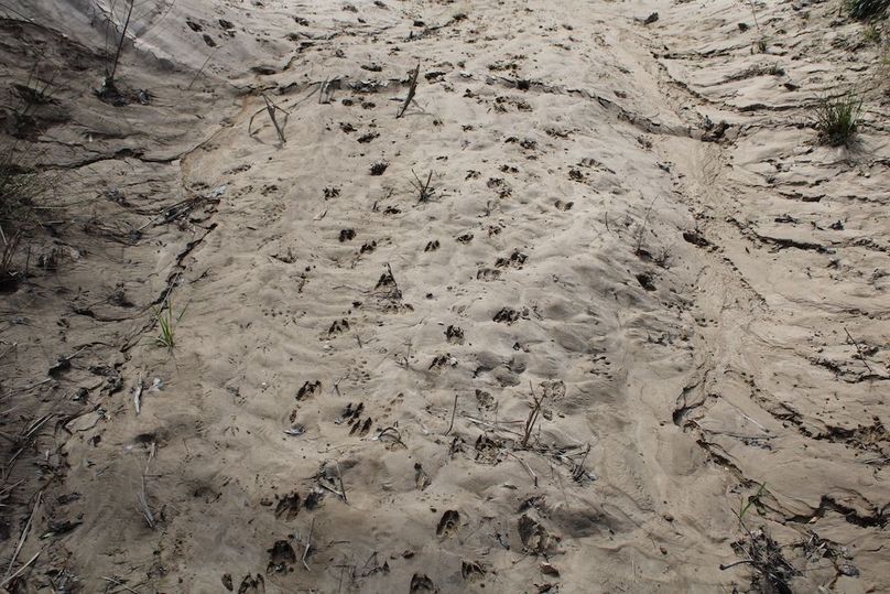 09DFEE64-9B4B-4995-9F4D-B22BE07178E4