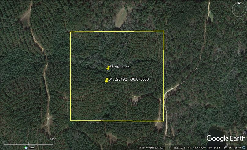Aerial #1 Approx. 37 Acres Washington County, AL