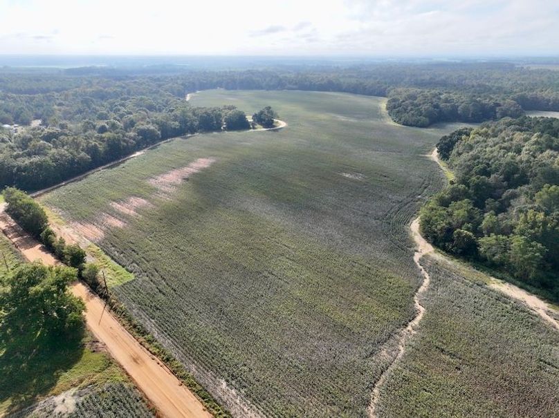 dji_fly_20251007_100628_215_1759846417627_photo