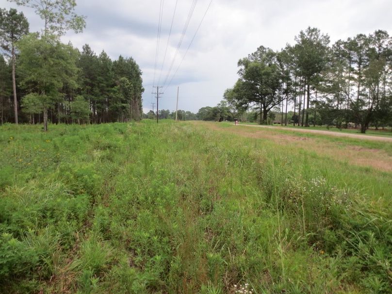 B75F058D-0B26-472A-8BD6-59313051150C_1_105_c