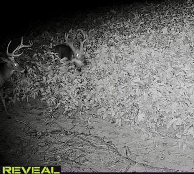 865519049947982-90-4-09142022193426-W1000888