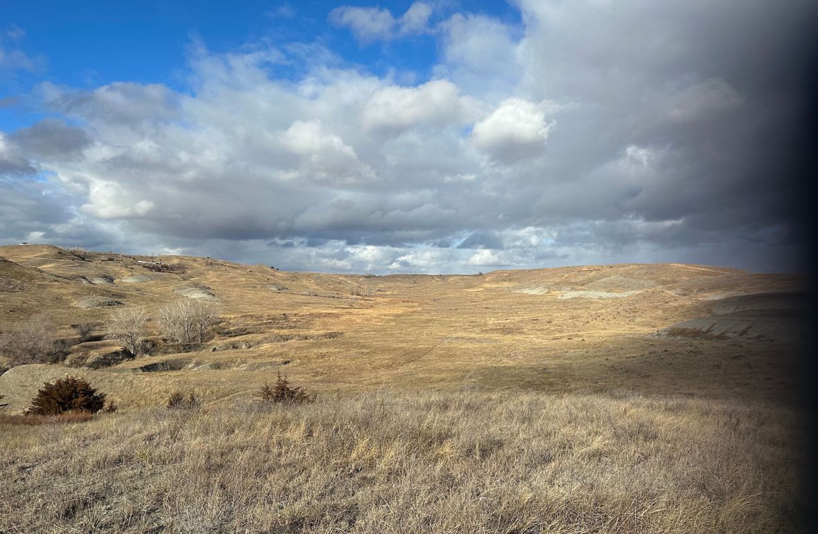 AD87E742-BA96-4EA5-B3D2-C2959CE175B6