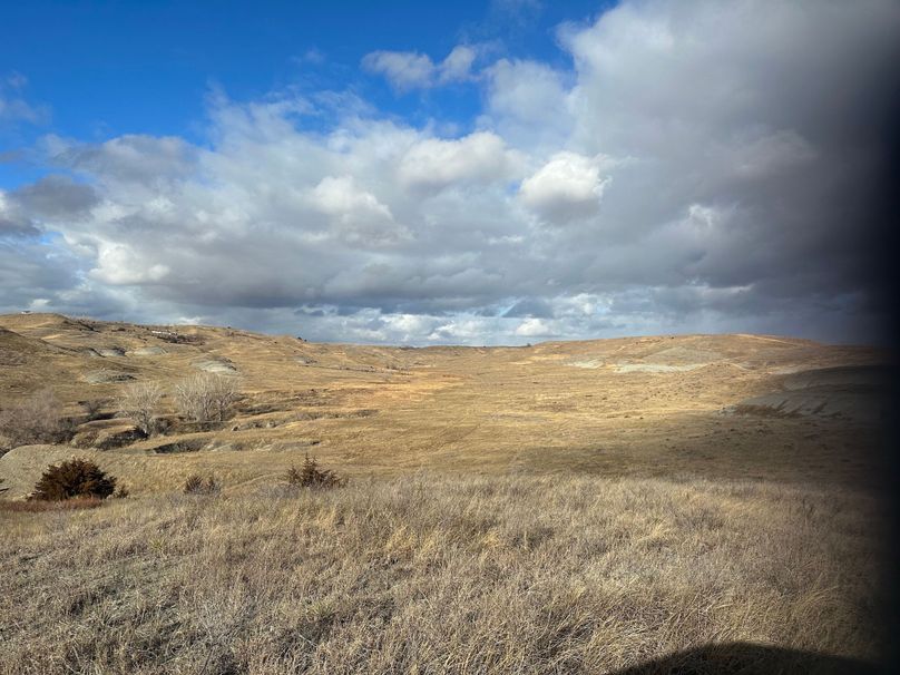 AD87E742-BA96-4EA5-B3D2-C2959CE175B6