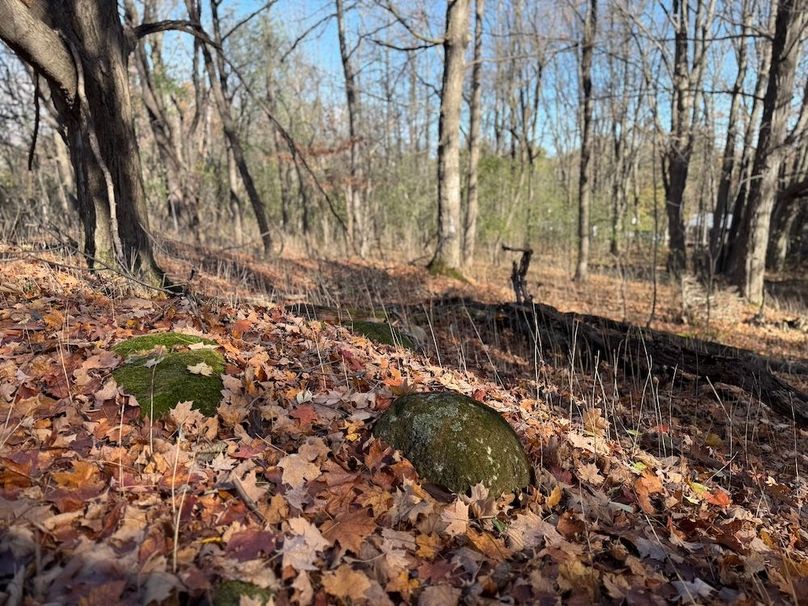 Wayne_18.11_Koehler Photo 8