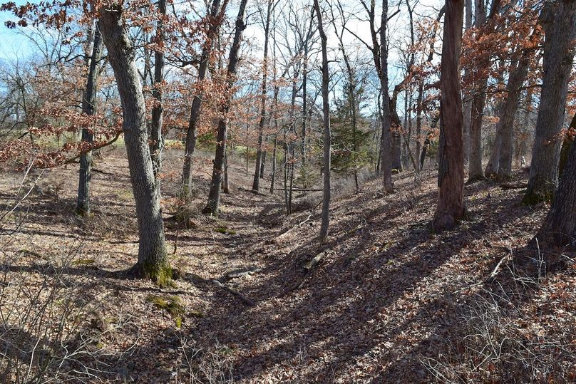 DSC_0270_inPixio (2)