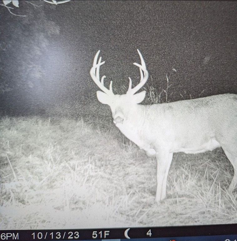 78491ceb-91f1-461d-a9df-6d9d777fe87c~1