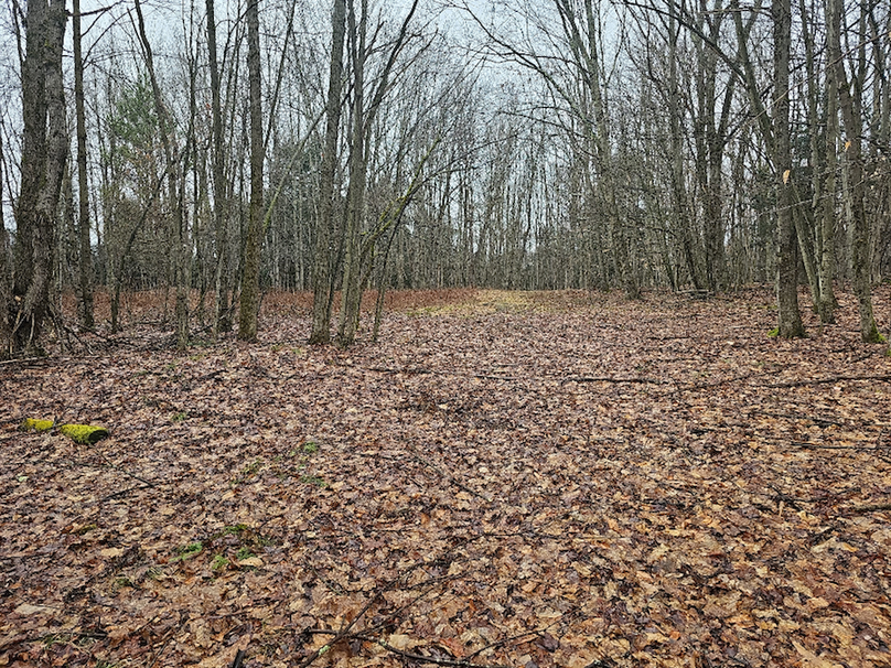 photo_b2feeb4f-509a-402e-b758-e042e91c4509