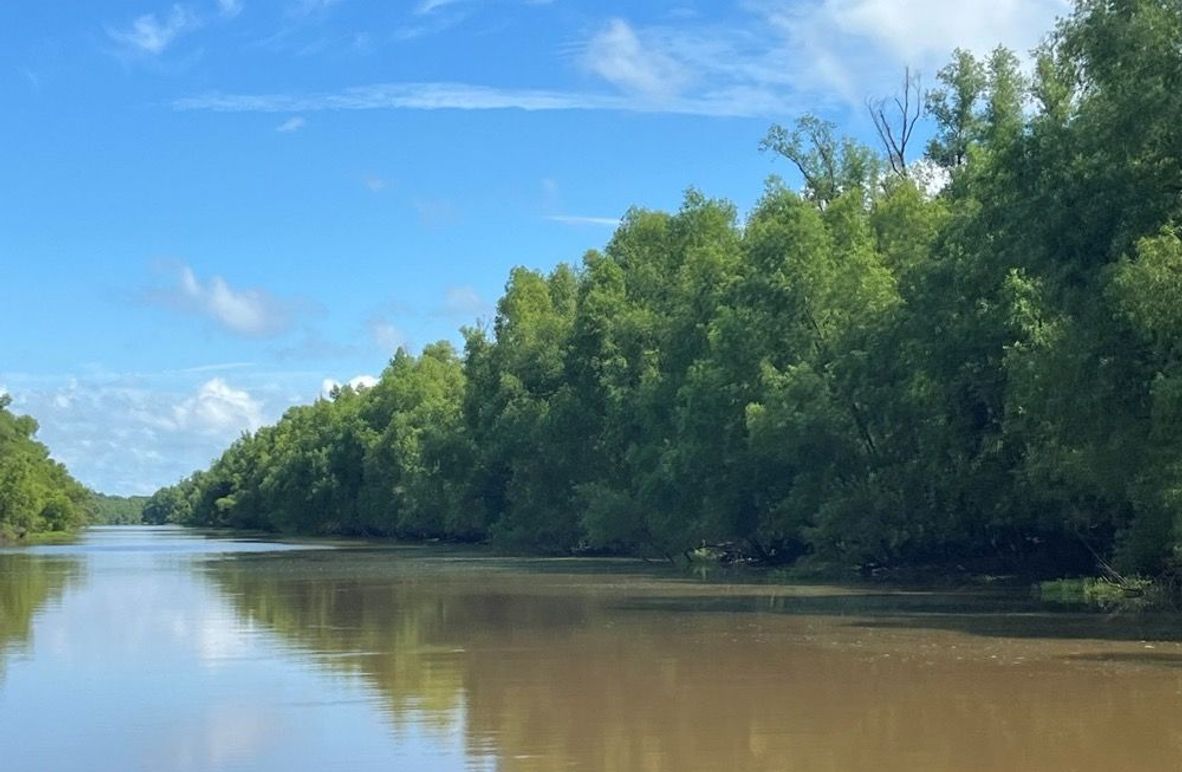 abaad1ea-a112-49d1-8753-a87ff6b63f6c