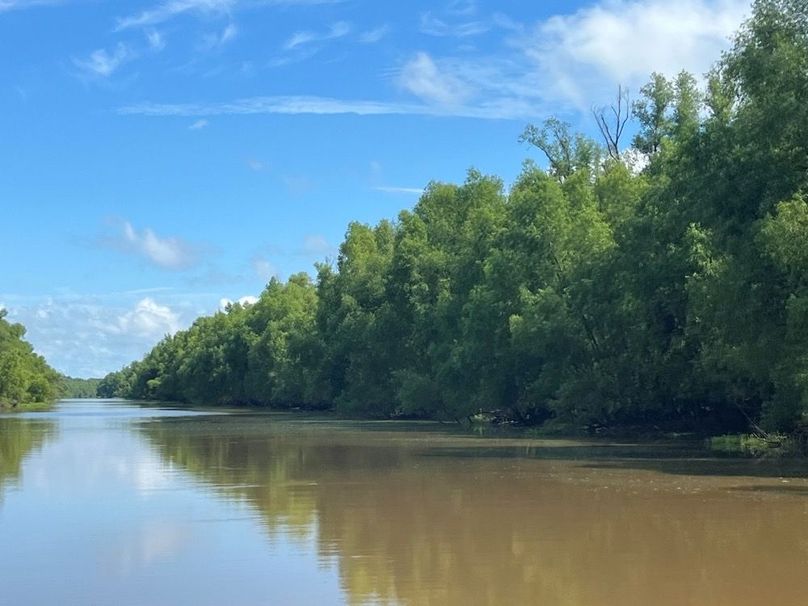 abaad1ea-a112-49d1-8753-a87ff6b63f6c