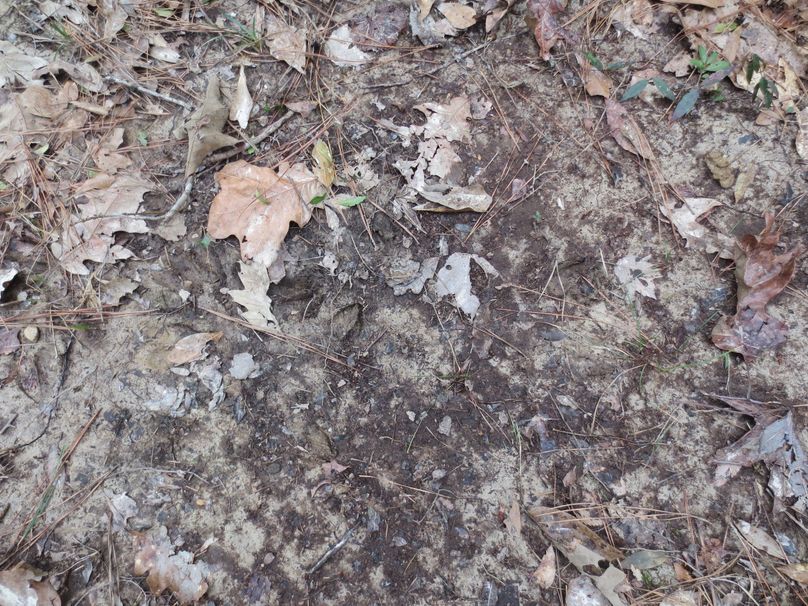 A234B3D1-B848-4973-93A6-0FCC2CE1B8A1