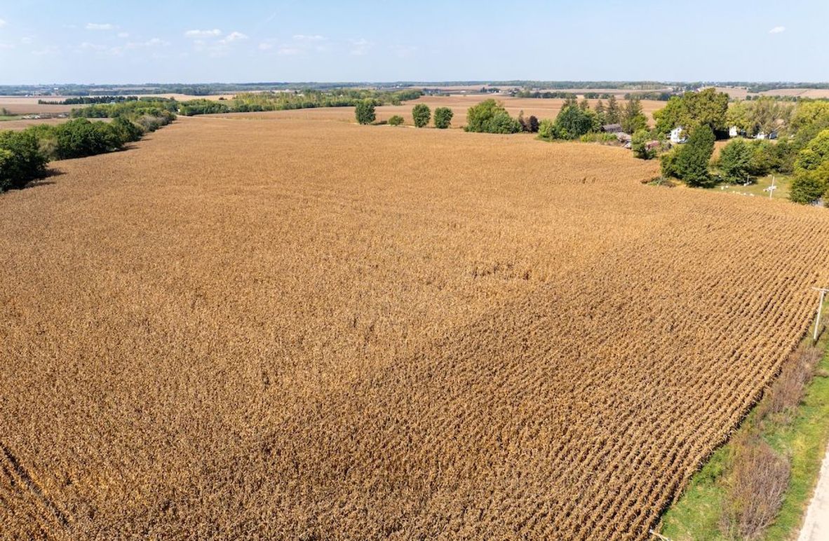 Copy of Whiteside 181_1