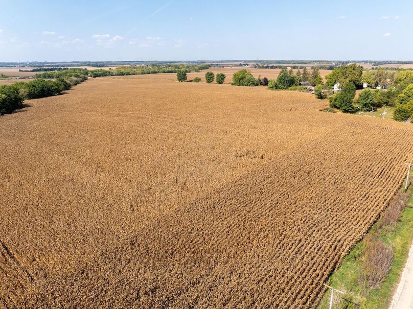 Copy of Whiteside 181_1