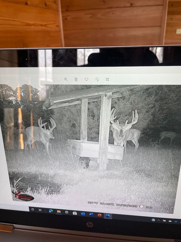 62956894305__748A1224-AA07-4019-8367-4D1CC2D7A01E