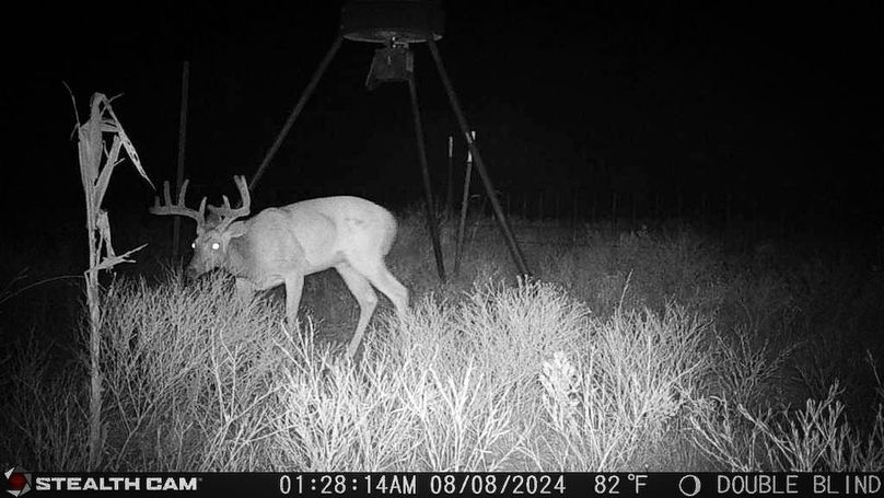 16. Recent trailcam photo 6