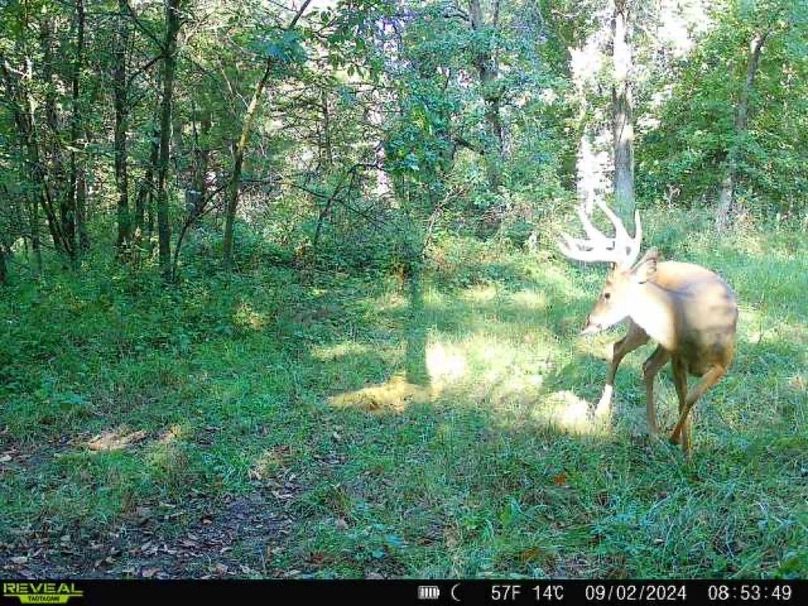 860322061934193-100-4-09022024085348-W1001840