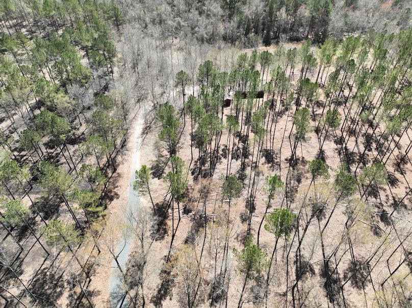 dji_fly_20240307_121038_149_1709831766340_photo