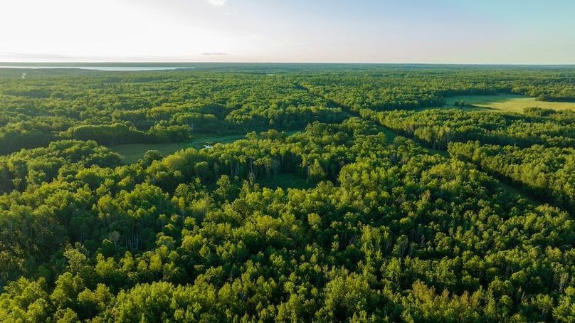 Cass MN 1095 Featured ProPhoto-78