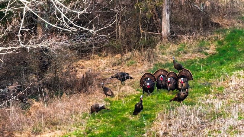 dji_fly_20260321_101918_0077_1774103512887_photo