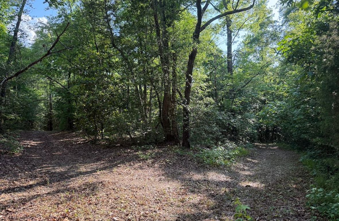 4 - trail 3