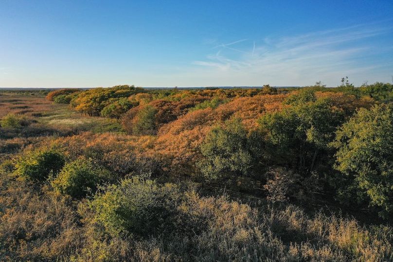 org_67f4bc49fe6845b8_1762732418000