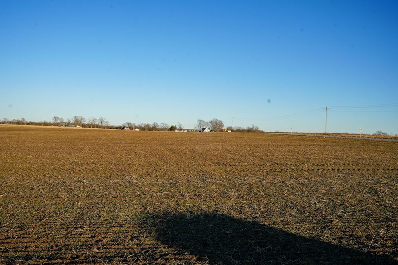 DSC02455bluestem