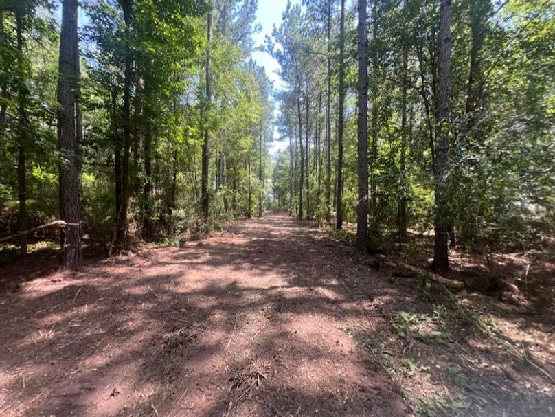 696BFA61-F389-4A5C-A2D3-58055024DB4E_1_105_c