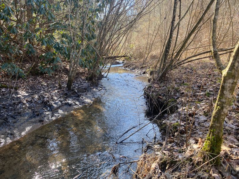 Cherokee 7.47 Herzog-01