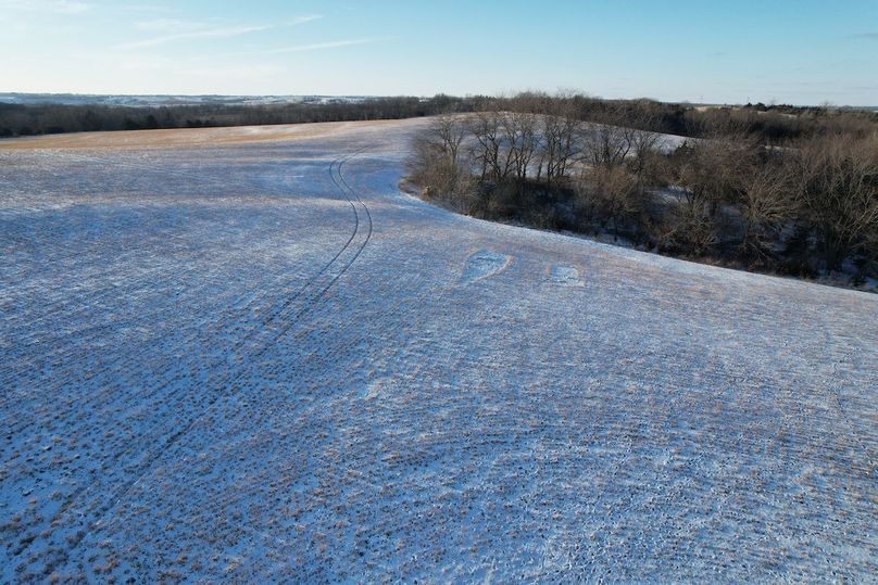 DJI_0462